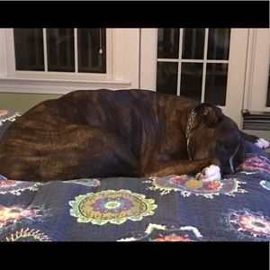 Meet your Posher, Haley